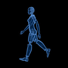 X-ray female cyborg or robot walk