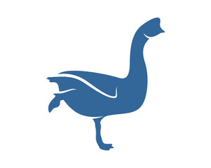 Swan logo vector design template, Silhouette Swan logo, Illustration