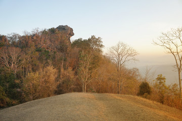 The cliff looks like a head of lion in the Sri Nan National Park in Thailand. It is called Pha Hua Singha.