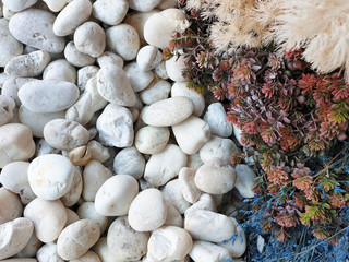 white pebbles stone with blue, orange and brown grass flowers texture and background