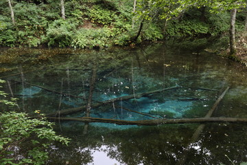 【北海道】神の子池 | 夏の道東、阿寒摩周湖国立公園にあるコバルトブルーの美しい池