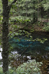 【北海道】神の子池 | 夏の道東、阿寒摩周湖国立公園にあるコバルトブルーの美しい池