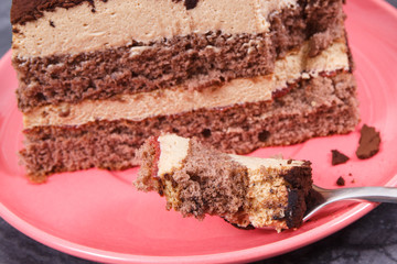 Tasty tiramisu cake for different occasions. Delicious dessert