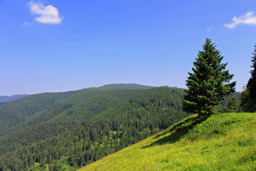 Alsace, et Les Vosges