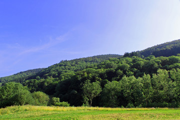 Fototapeta na wymiar Alsace, et Les Vosges