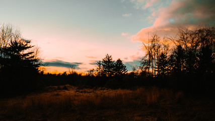 Orange and Blue Sunset in a Field