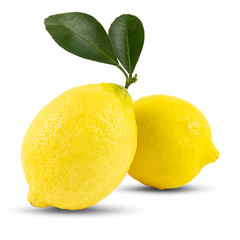 Two fresh lemon fruit with leaf on isolated white background, with clipping Path.