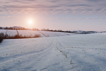 beautiful winter landscape