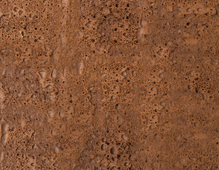 Chocolate Biscuit Texture Background or Sponge Cake Pattern
