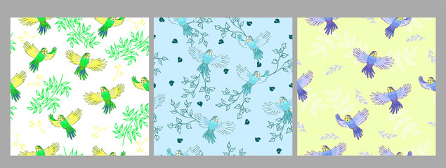 Set of seamless patterns with budgies. Vector graphics.