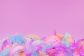 Colorful feather background