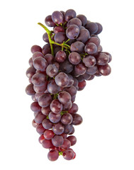 Fresh grape isolated on white background.