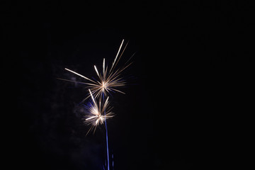 Fototapeta premium A Streak of Fireworks on the Fourth of July