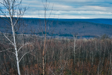 A Shot of a Dead Mountain Landscape