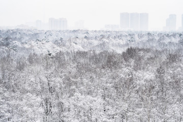 snow-covered park and apartment houses on horizon