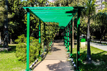 A picture of way in garden