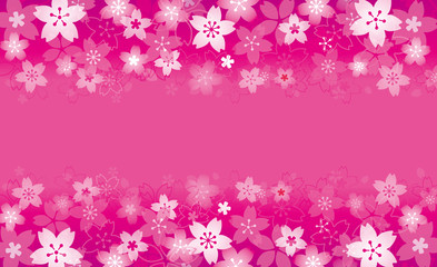 ピンクの桜 背景、フレーム