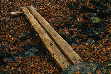 A Man Made Log Bridge Crossing a Small Stream