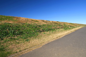 坂道のある晩冬の朝の江戸川土手風景