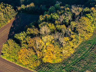vue aérienne de la forêt à l'automne à Villers-en-Arthies dans le Val d'Oise en France © Francois