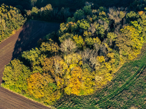 vue a&eacute;rienne de la for&ecirc;t &agrave; l'automne &agrave; Villers-en-Arthies dans le Val d'Oise en France