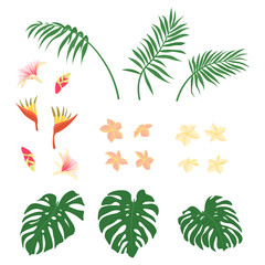 set of green tropical leaves and beauty flowers isolated, exotic flora, editable vector illustration for summer decorations