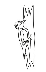 woodpecker on a tree vector illustration on a white background