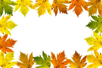 Naklejka na ściany i meble autumn maple leaves frame isolated on white background