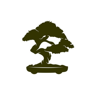 Bonsei logo vector design template, Silhouette Bonsei logo, Illustration