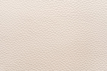 White natural animal skin texture. skin with pattern. background