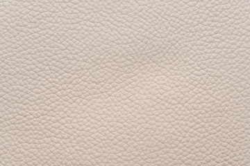 White natural animal skin texture. skin with pattern. background