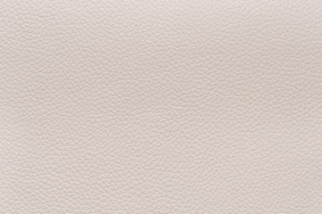 White natural animal skin texture. skin with pattern. background