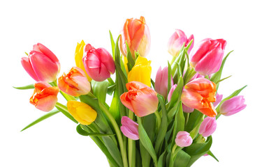 Bouquet of colorful tulips on white background