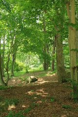 六甲高山植物園