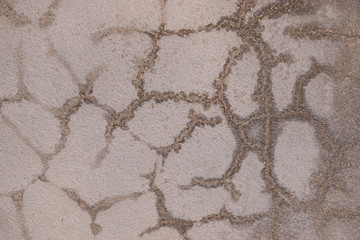 Old cement walls outside the building with cracks and mold stains.