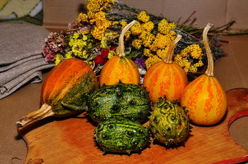 Exotic unusual African fruit kivano melon (Antilles cucumber, horned melon, anguria)