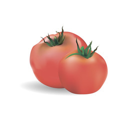 vector drawing tomato with gradient