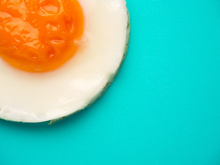 Perfect circle fried egg on blue-green background