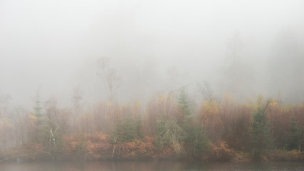 Naklejka na ściany i meble Beautiful mody Autumn Fall landscape of woodland with mist fog during early morning