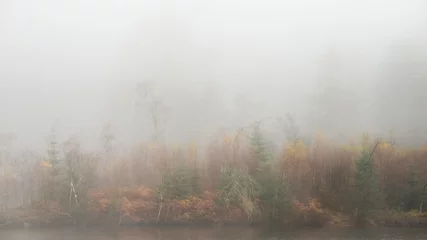 Schilderijen op glas Beautiful mody Autumn Fall landscape of woodland with mist fog during early morning © veneratio