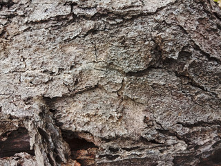 stone, rock wallpaper/background high resolution
