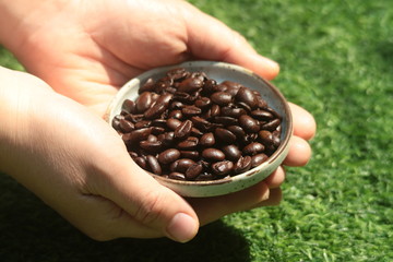 coffee beans in the hands