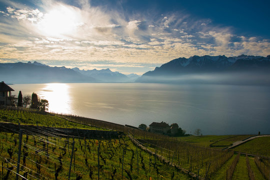 Genfer See in der Schweiz bei Saint Sarphorin
