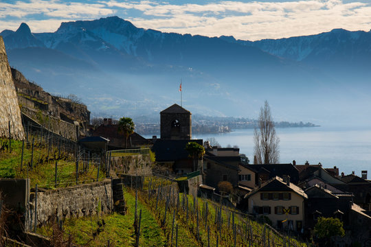 Genfer See in der Schweiz bei Saint Sarphorin