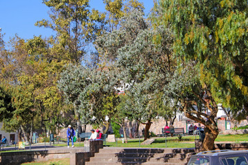 Obraz premium Park