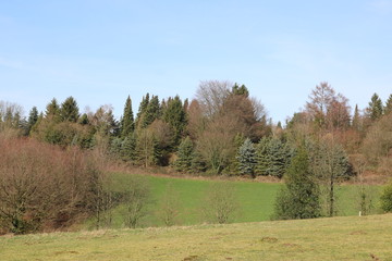 Obraz premium Zauberhafte Landschaft zwischen Wiese und Wald in Hügellandschaft