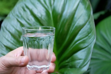 A man hand holding a glass of pure drinking water with tropical green leaves in the garden background