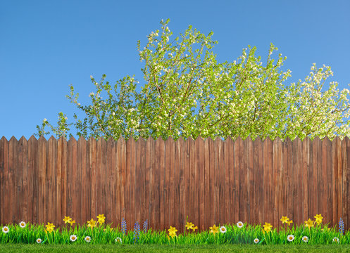 spring flowers and wooden garden fence