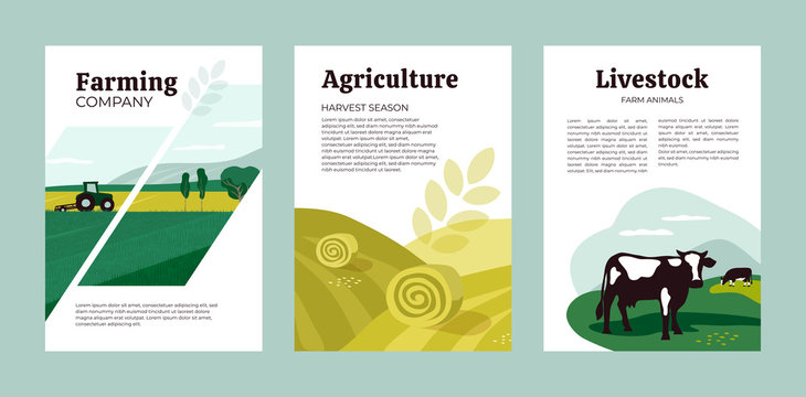 Set of posters with agriculture, farming and livestock. Vector illustrations of tractor, hayfield, hay stack rolls, farm animals and cows in pasture. Template for banner, cover, flyer, print, brochure