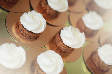 Beautiful festive cake biscuit with different creams